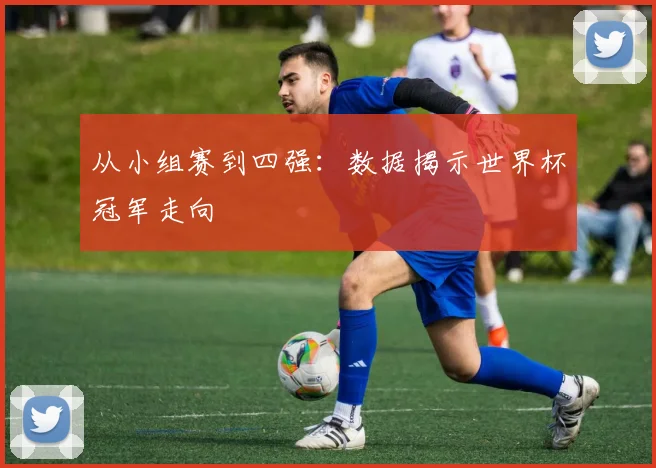 从小组赛到四强：数据揭示世界杯冠军走向