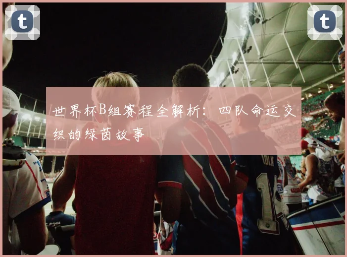 世界杯B组赛程全解析：四队命运交织的绿茵故事