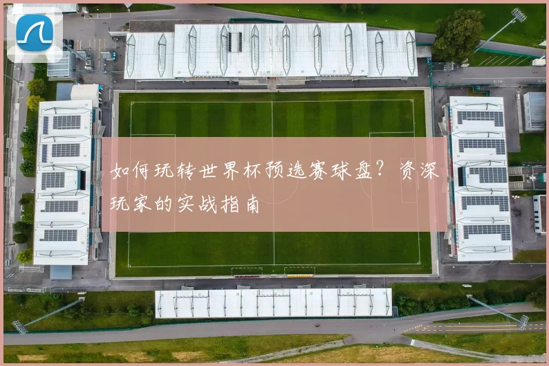 如何玩转世界杯预选赛球盘？资深玩家的实战指南