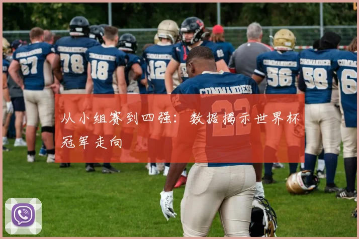 从小组赛到四强：数据揭示世界杯冠军走向
