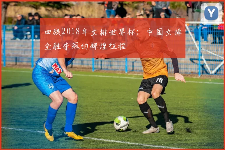 回顾2018年女排世界杯：中国女排全胜夺冠的辉煌征程