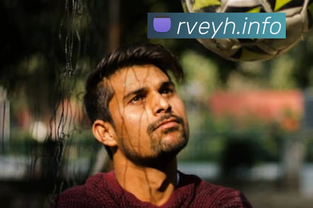 久游会j9平台生态图